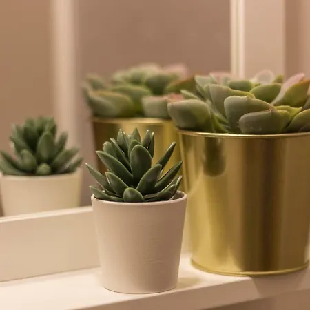 Casa Gonzaga Con Parcheggio Orvieto