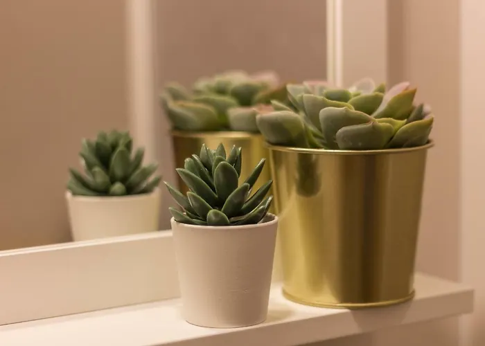 Casa Gonzaga Con Parcheggio オルヴィエート